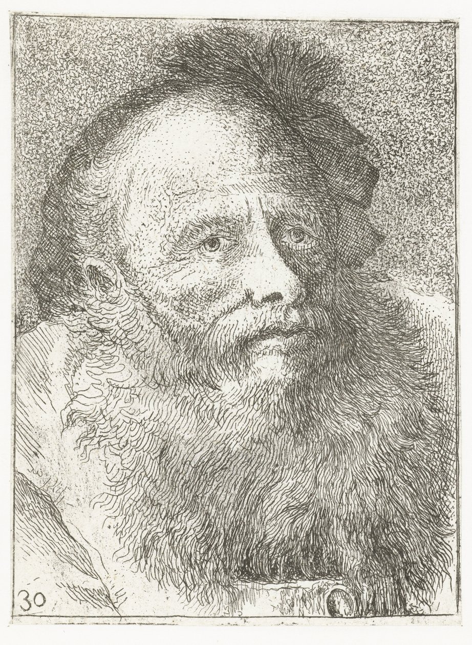 Mężczyzna z brodą i nakryciem głowy z piórami Kolekcja głów (tytuł serii) Raccolta di Teste (tytuł serii) autorstwa Giovanni Domenico Tiepolo