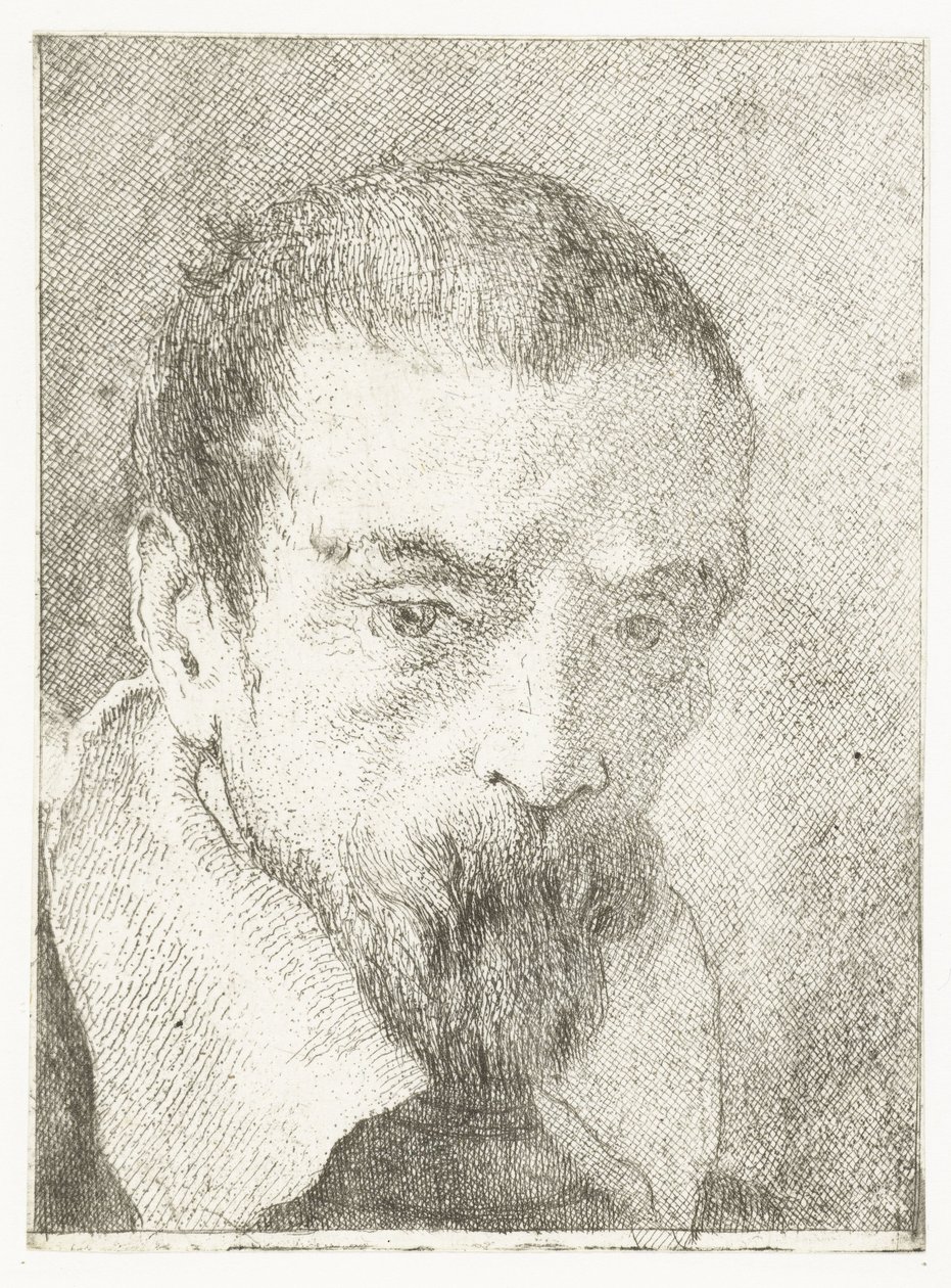 Mężczyzna z małą brodą bez nakrycia głowy Kolekcja głów (tytuł serii) Raccolta di Teste (tytuł serii) autorstwa Giovanni Domenico Tiepolo