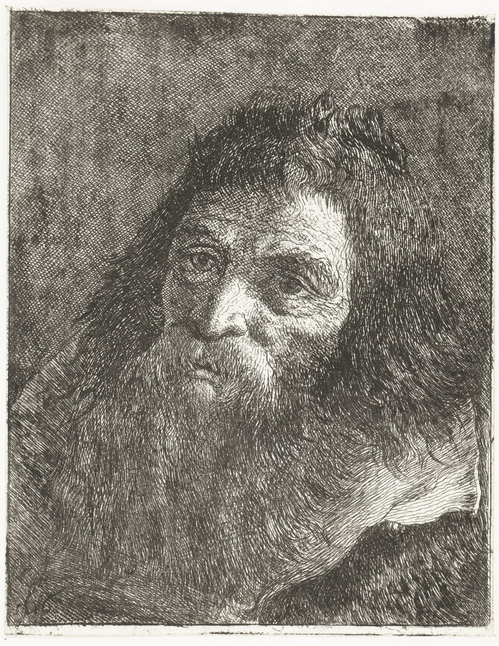 Mężczyzna z długimi włosami i brodą autorstwa Giovanni Domenico Tiepolo