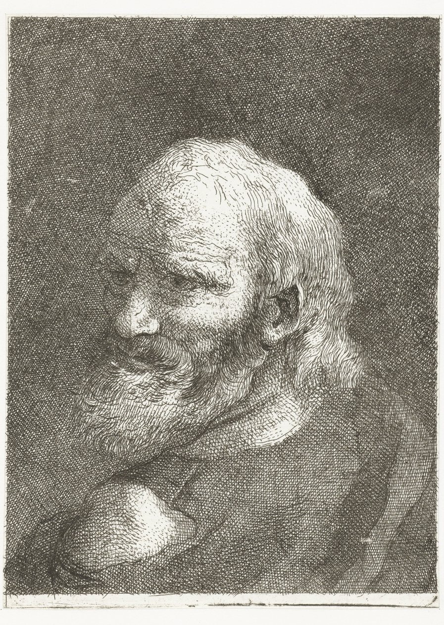 Mężczyzna z odkrytym ramieniem Kolekcja głów (tytuł serii) Raccolta di Teste (tytuł serii) autorstwa Giovanni Domenico Tiepolo