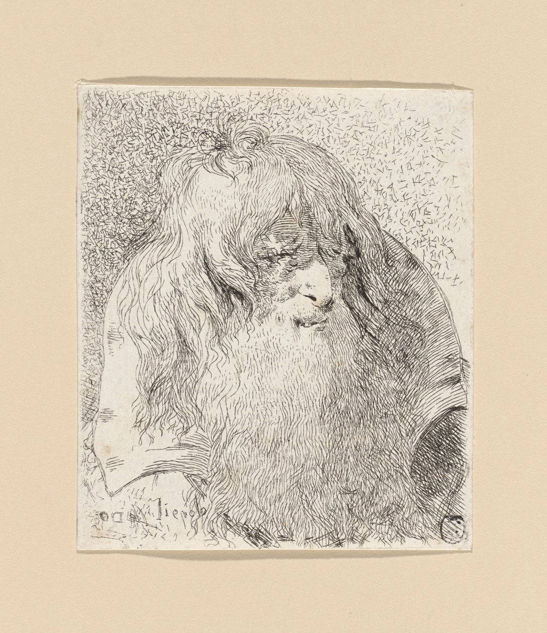 „Starzec z brodą i długimi włosami” z cyklu „Raccolta di Teste” („Kolekcja głów”) autorstwa Giovanni Domenico Tiepolo