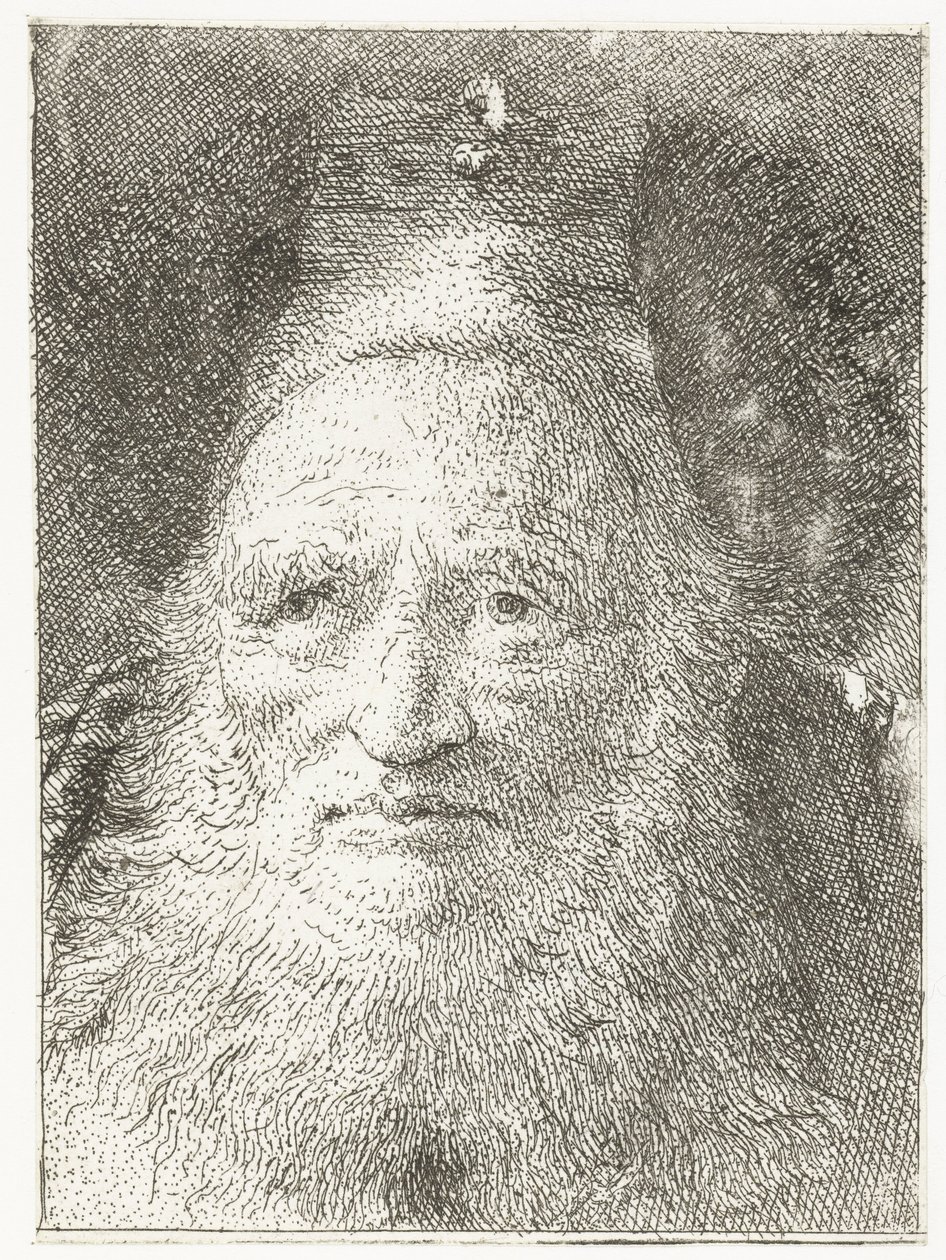 Stary człowiek w futrzanym kapeluszu Kolekcja głów (tytuł serii) Raccolta di Teste (tytuł serii) autorstwa Giovanni Domenico Tiepolo