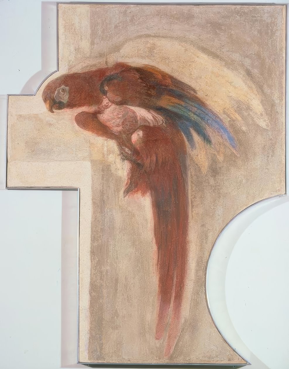 papuga autorstwa Giovanni Domenico Tiepolo