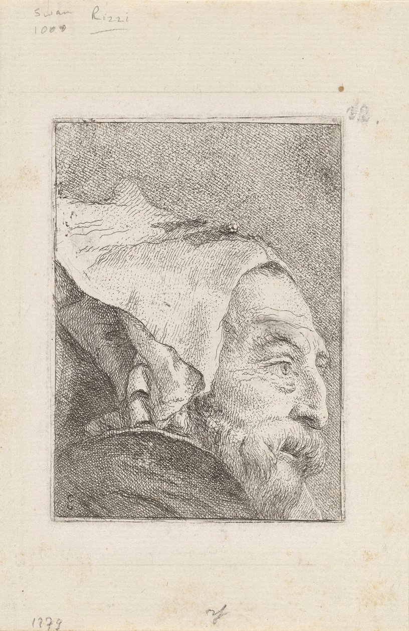 Profil starego człowieka z Raccolta di Teste (Zbiór głów) autorstwa Giovanni Domenico Tiepolo