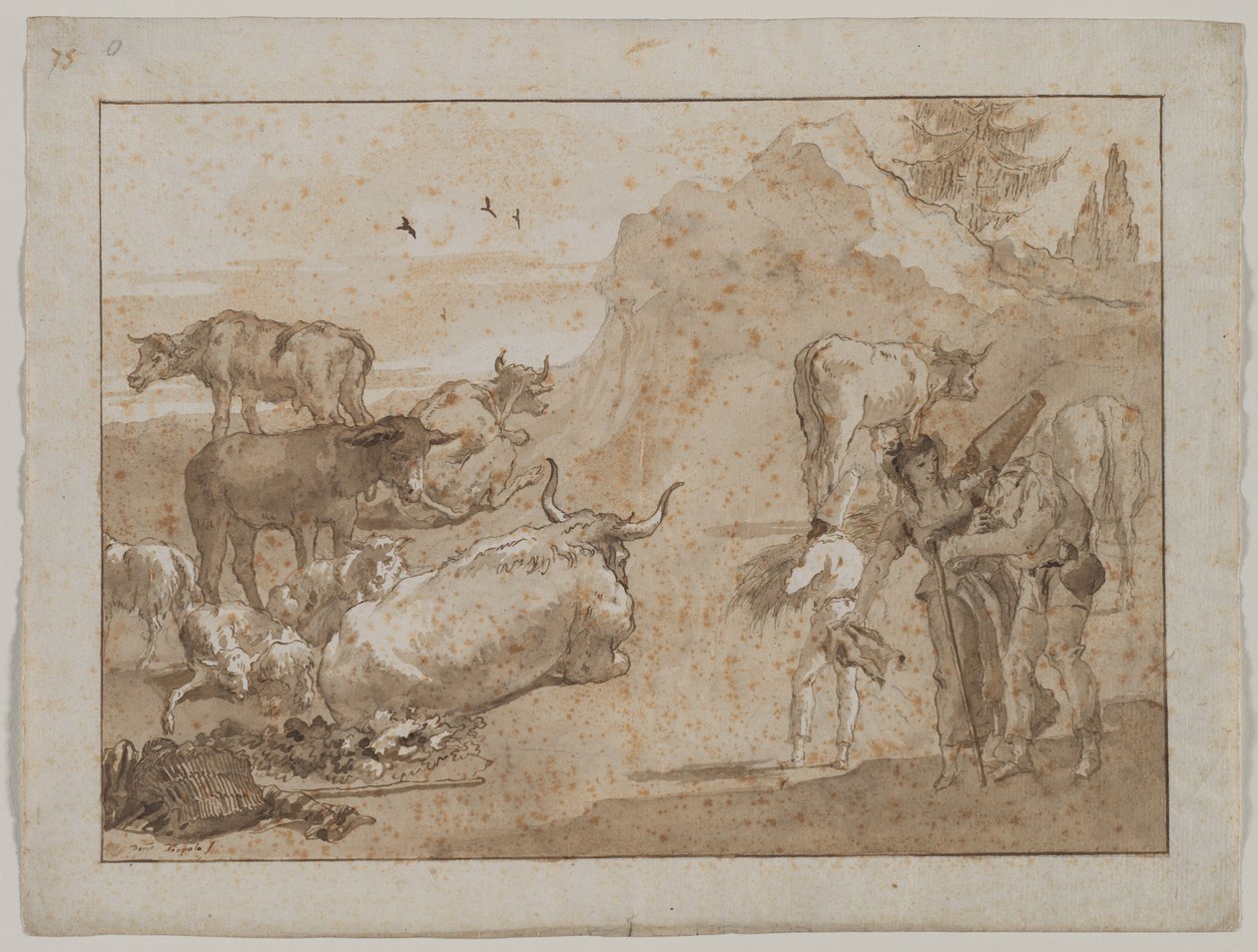 Owce i krowy, lata 90. XVIII wieku. autorstwa Giovanni Domenico Tiepolo