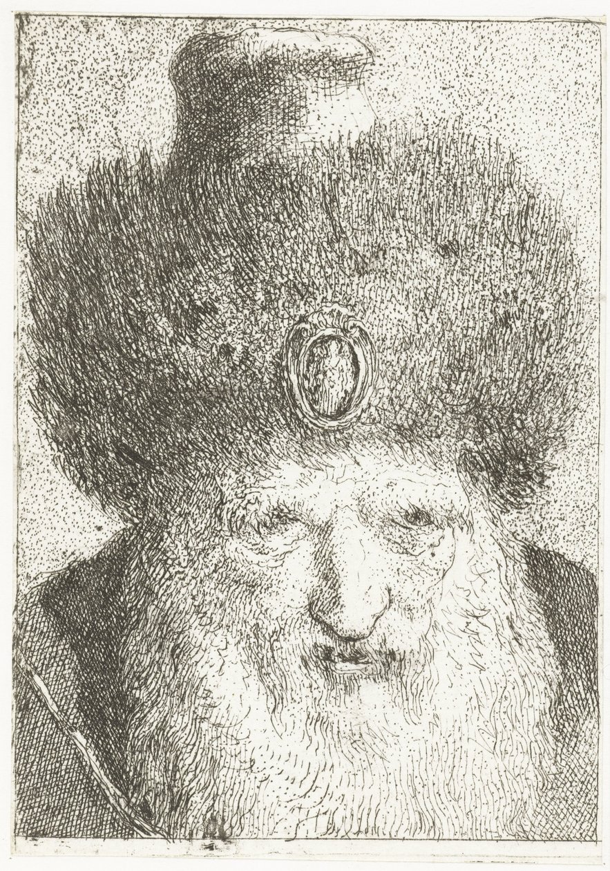 Turecki mężczyzna w futrzanym kapeluszu Kolekcja głów (tytuł serii) Raccolta di Teste (tytuł serii) autorstwa Giovanni Domenico Tiepolo