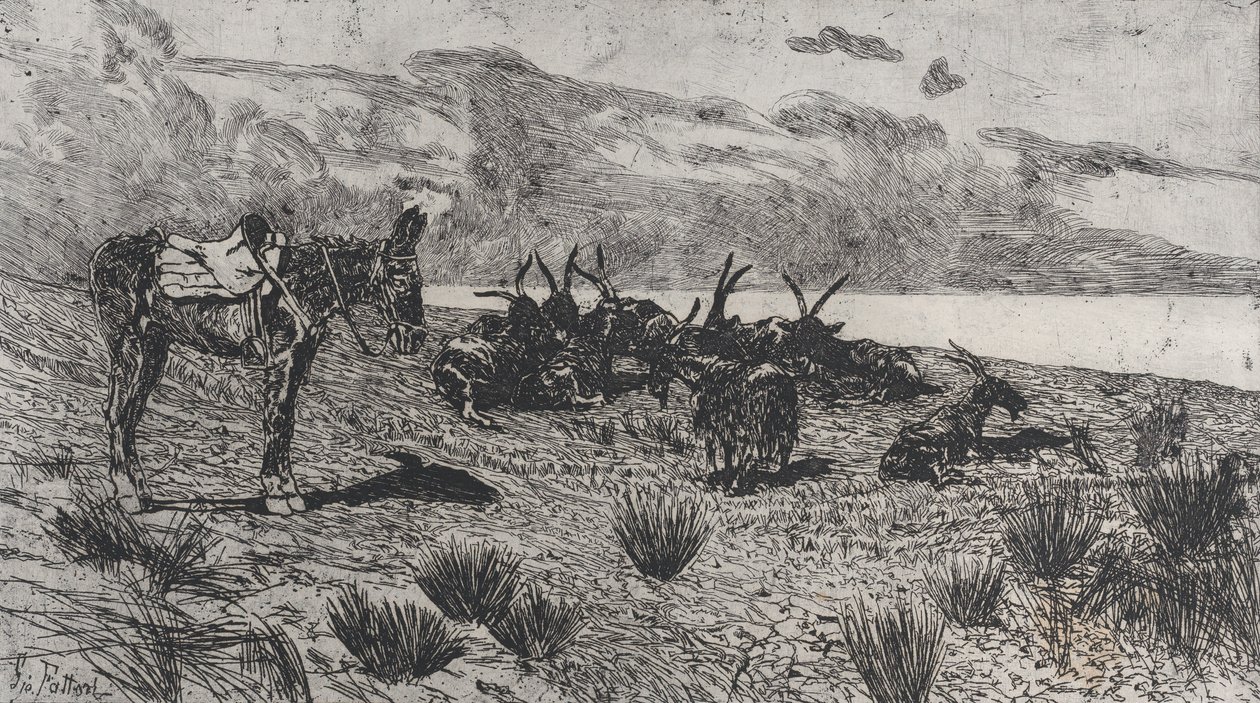Osioł i kozy nad brzegiem morza zimą, 1884-1908. autorstwa Giovanni Fattori