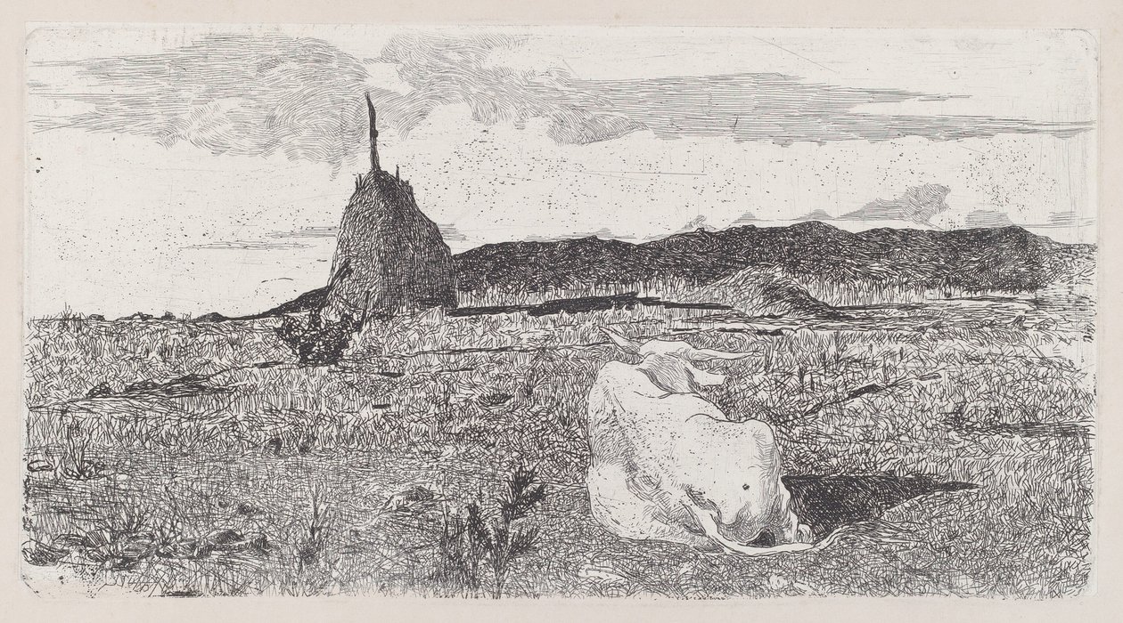 Święta Krowa [Pio u góry] autorstwa Giovanni Fattori