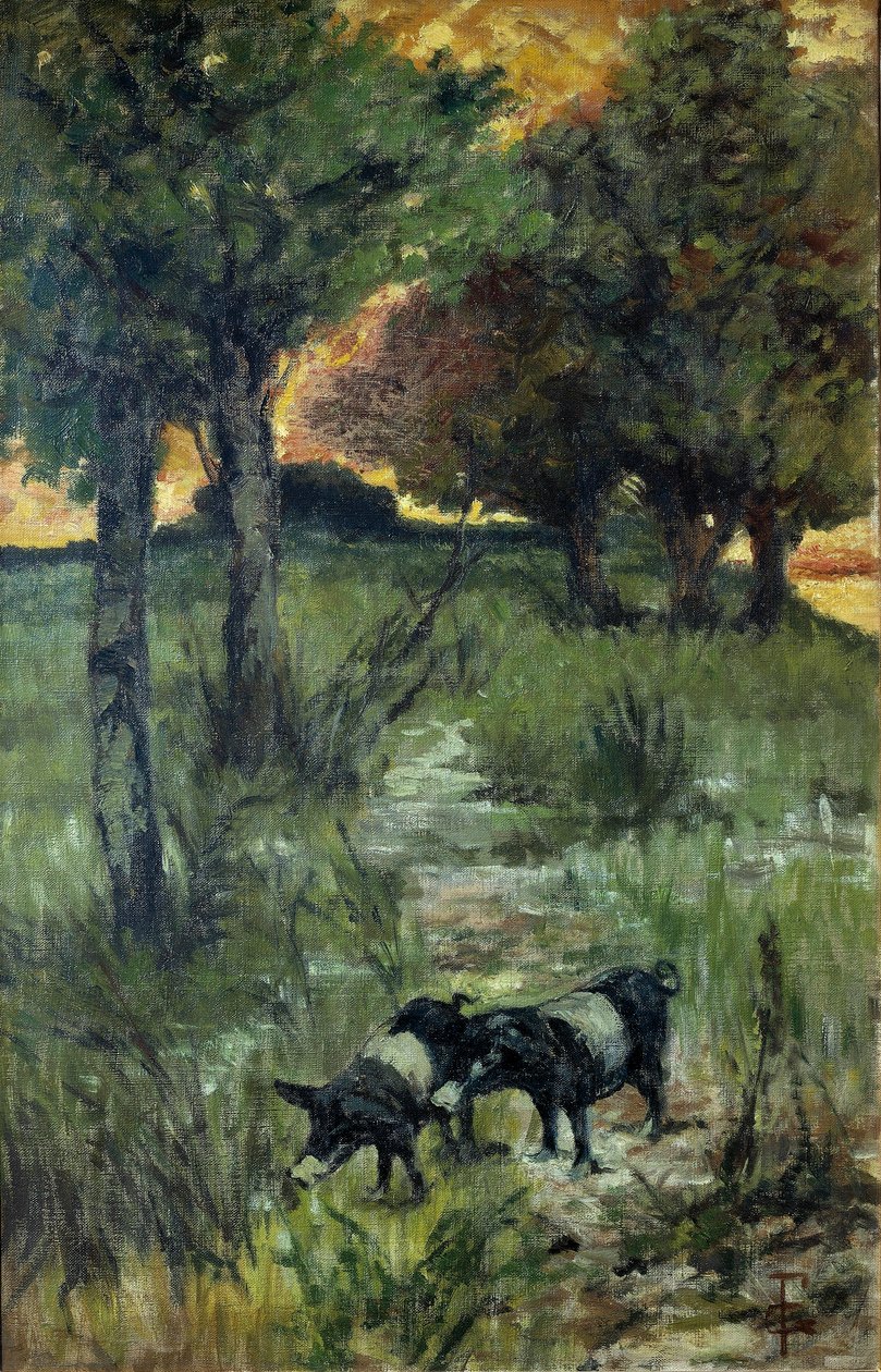 Włochy, Florencja, Świnie na pastwisku autorstwa Giovanni Fattori