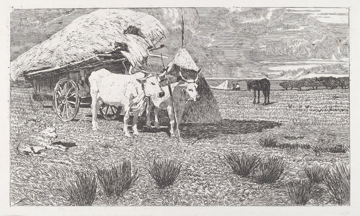 Woły zaprzężone do wozu (Maremma) autorstwa Giovanni Fattori