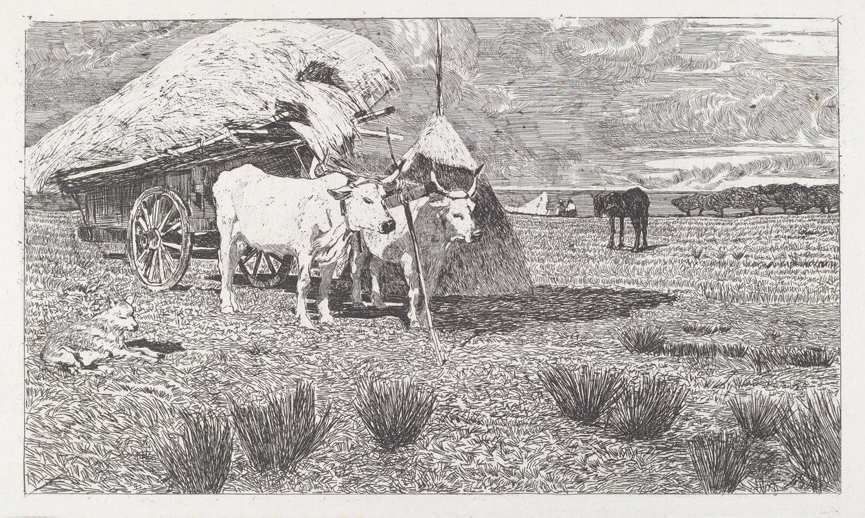 Woły zaprzęgnięte do wozu (Maremma) [Bovi al carro (Maremma)] autorstwa Giovanni Fattori