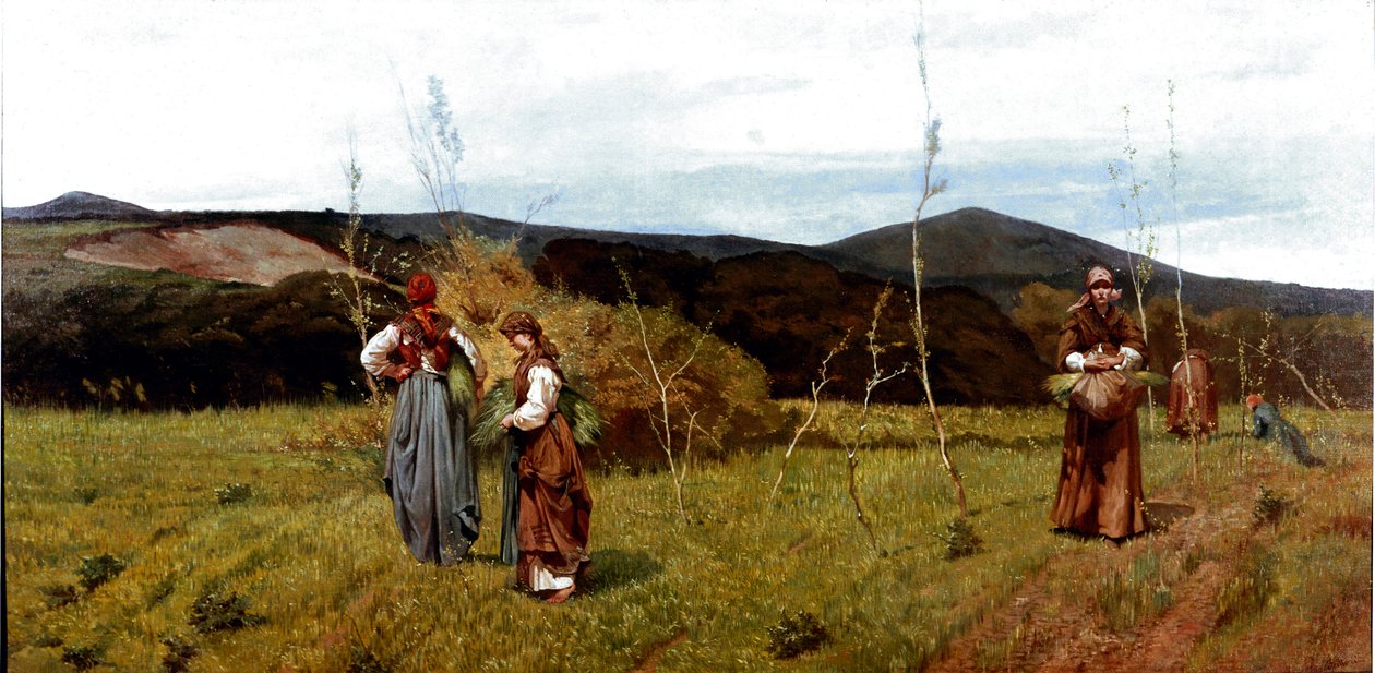 Chłop macchiaiole na polach podczas żniw. Obraz Giovanniego Fattori (1825-1908) 1866-1867 Wym. 90x180 cm Mediolan, kolekcja prywatna autorstwa Giovanni Fattori