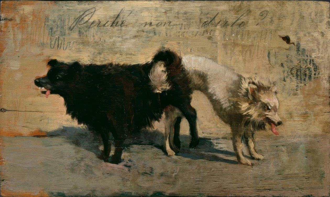 Dlaczego tego nie powiedzieć? autorstwa Giovanni Fattori