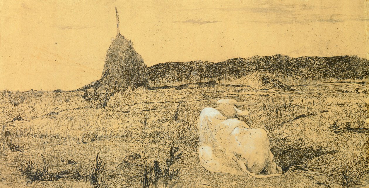 Pio Bove (Pobożny lub Spokojny Wół) – Giovanni Fattori (1825-1908), akwaforta autorstwa Giovanni Fattori