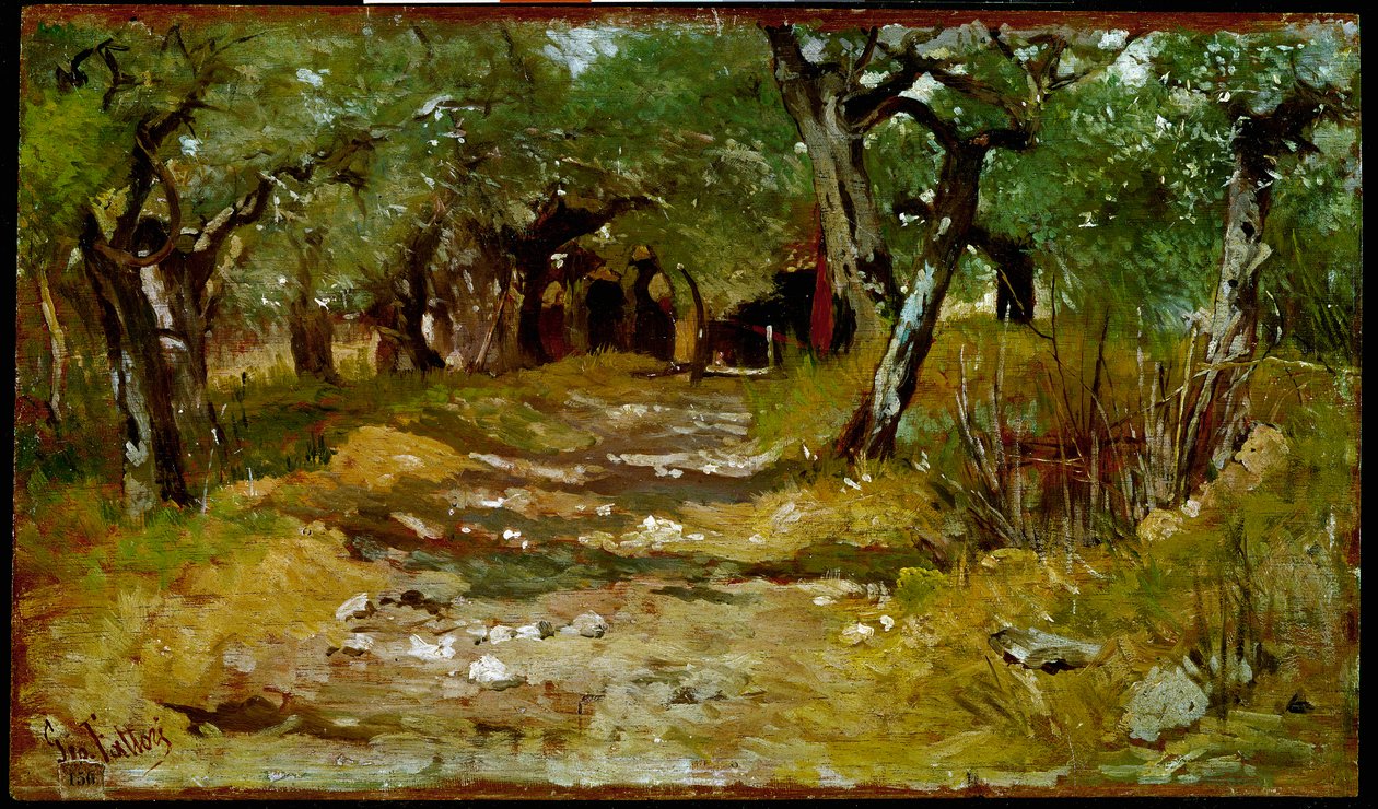 Ścieżka między oliwkami Obraz Giovanniego Fattori (1825-1908) 1890-1900 Nd. 19x33 cm Florencja, Galleria d