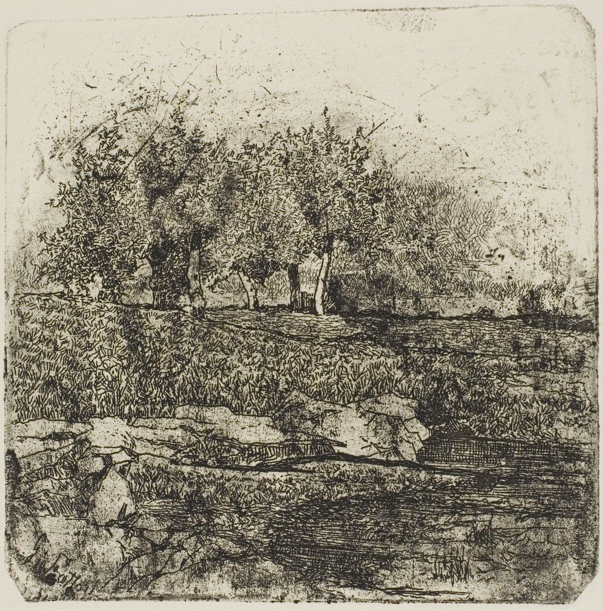 Drzewa na łące autorstwa Giovanni Fattori