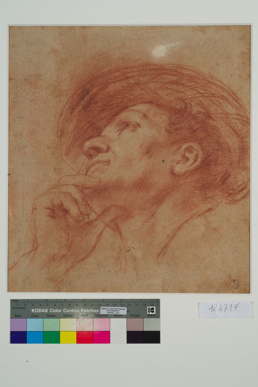 Studium dla Głowy Proroka Aggeusza (czerwona kreda na papierze) autorstwa Giovanni Francesco Barbieri