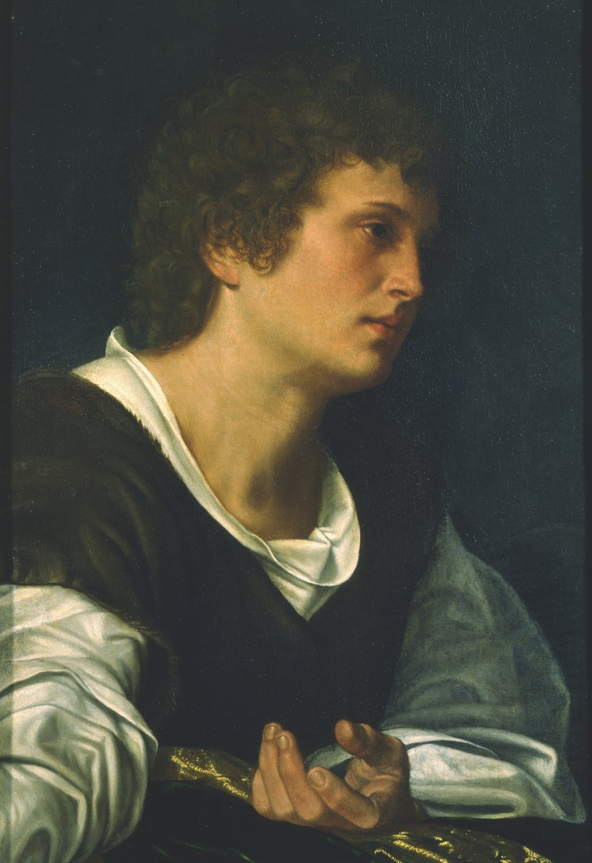 Św. Jan Ewangelista (olej na płótnie) autorstwa Giovanni Girolamo Savoldo