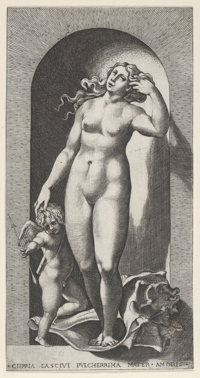 Obrazek 10: Wenus w niszy, stojąca na muszli, z Kupidynem po jej prawej stronie, z ser..., 1526. autorstwa Giovanni Jacopo Caraglio