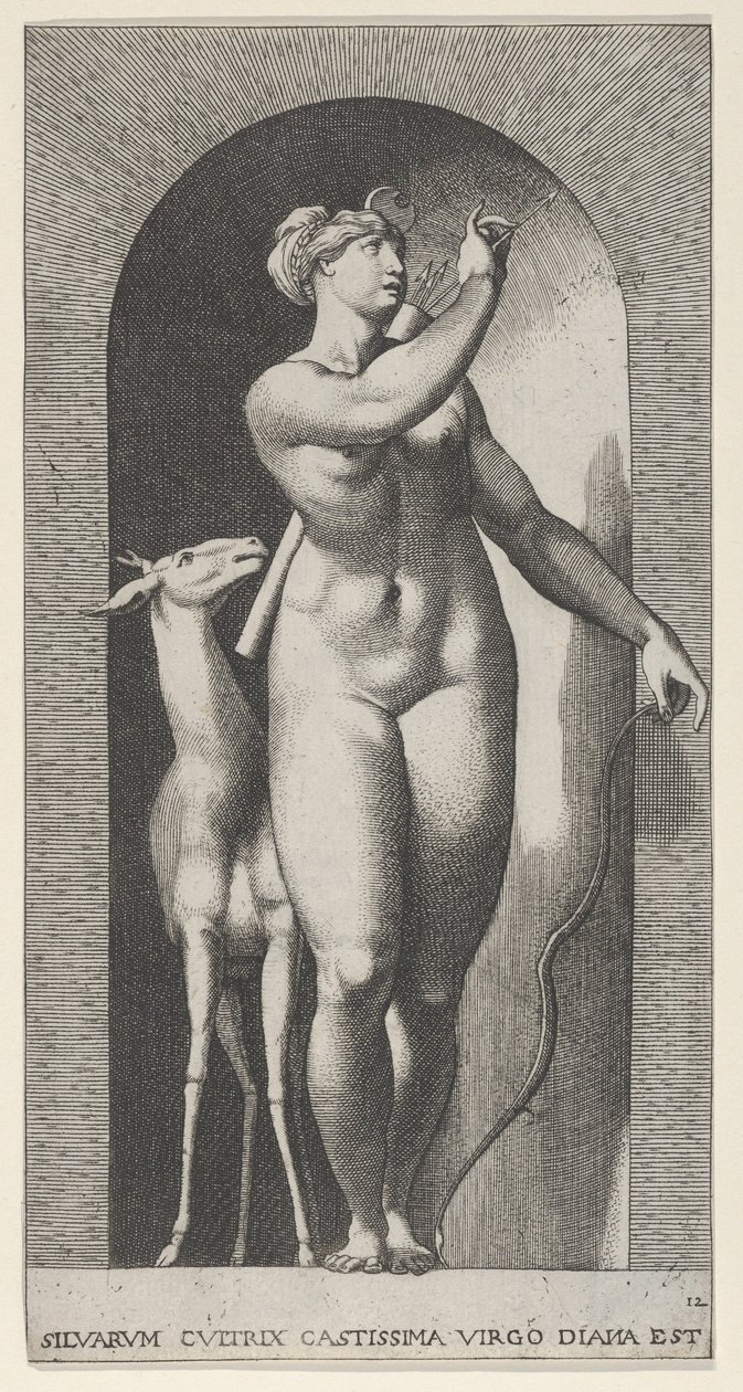 Obrazek 12: Diana stojąca w niszy, skręcająca się w lewo i wyciągająca strzałę z ć..., 1526. autorstwa Giovanni Jacopo Caraglio