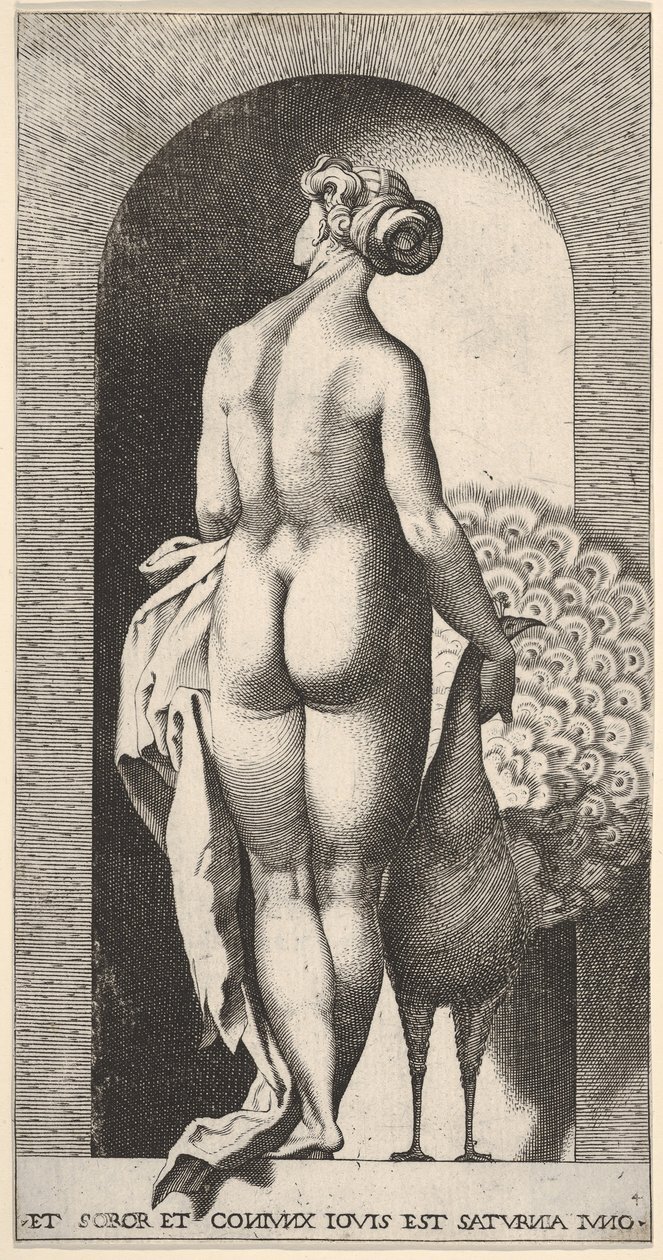 Ilustracja 4: Junona stojąca w niszy, widziana od tyłu, głaszcząca pawia po swojej prawej stronie, fr..., 1526. autorstwa Giovanni Jacopo Caraglio