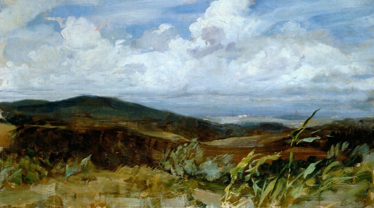 Pejzaż – Giovanni Muzzioli (1854-1894), olej na płótnie, 39x68 cm autorstwa Giovanni Muzzioli