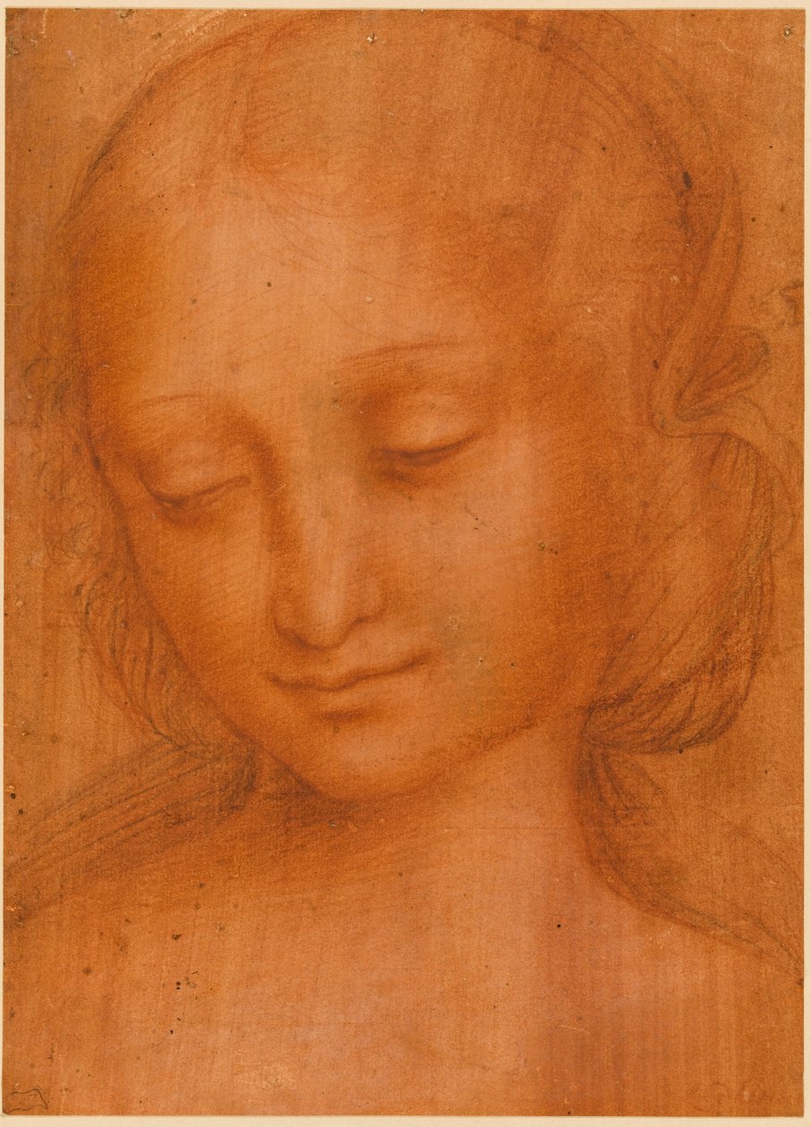 Głowa kobiety autorstwa Giovanni Pietro Rizzoli Giampietrino