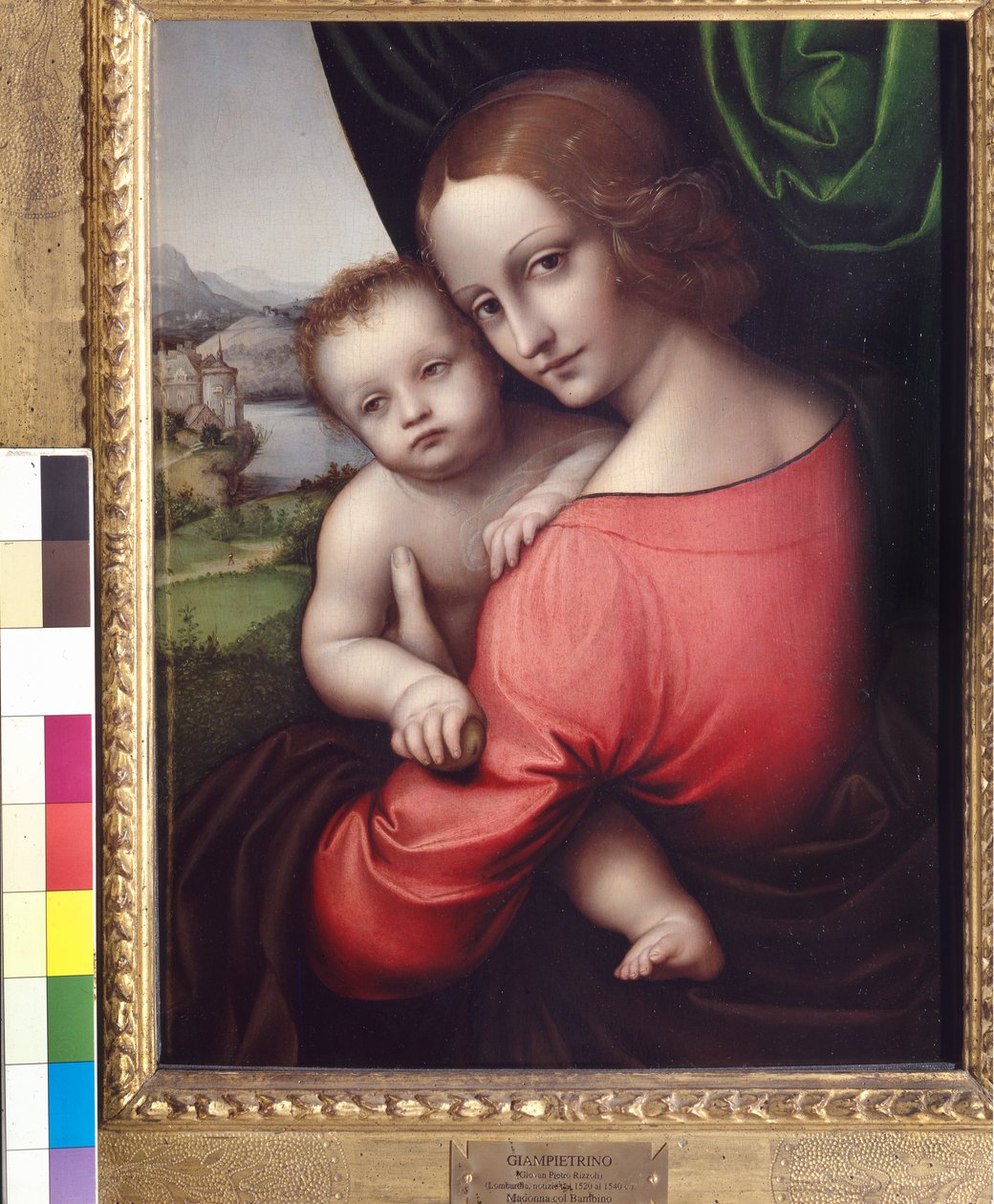 Madonna z Dzieciątkiem (Matka Boża Jabłkowa), ok. 1525 (olej na desce) autorstwa Giovanni Pietro Rizzoli Giampietrino