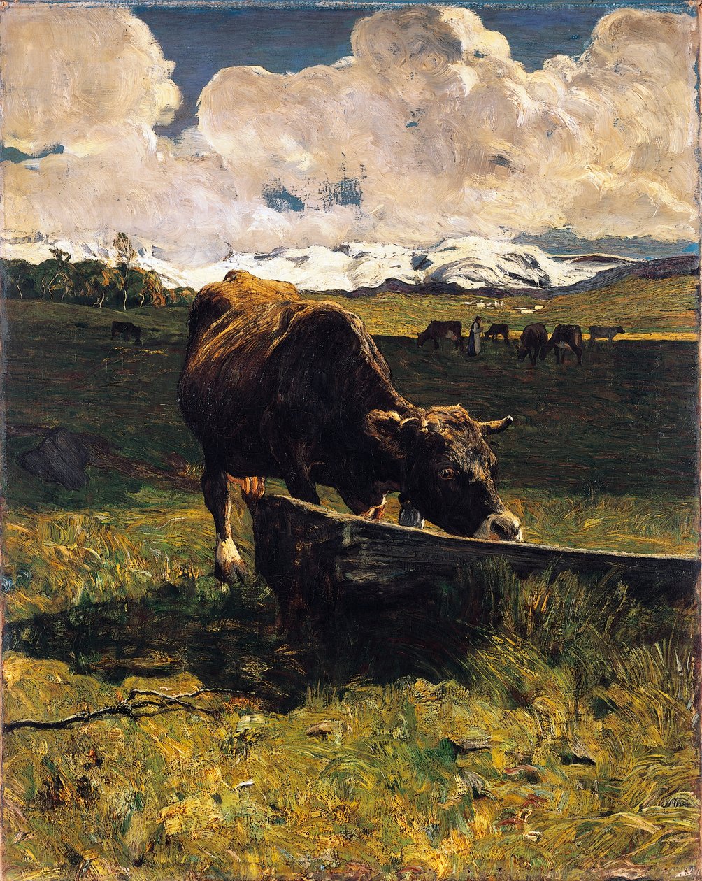 Brązowa krowa przy korycie, Giovanni Segantini (1858-1899), olej na płótnie, 88x69 cm autorstwa Giovanni Segantini