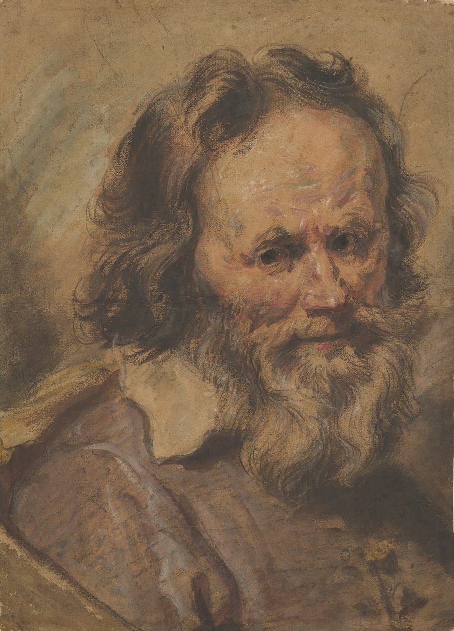 Głowa brodatego mężczyzny, 1600-1630. autorstwa Giovanni Serodine