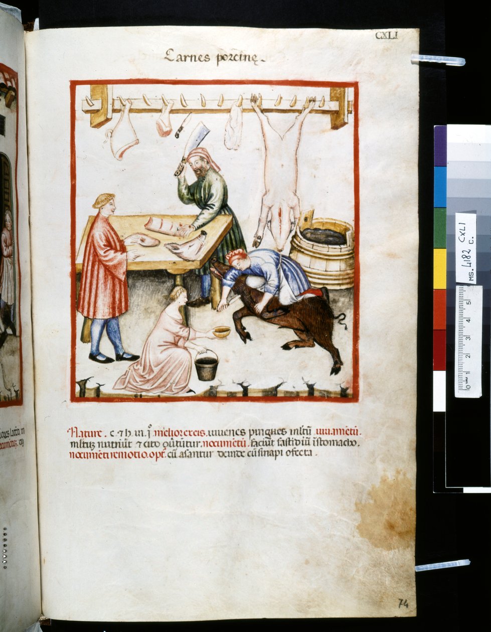 Theatrum sanitatis Ububchasyma de Baldach: "Carnes Porcinae", pierwsza dekada XIV wieku (miniatura) autorstwa Giovannino de