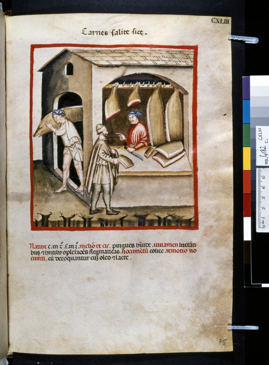 Theatrum sanitatis Ububchasyma de Baldach: "Carnes Salite Si ce", pierwsza dekada XIV wieku (miniatura) autorstwa Giovannino de
