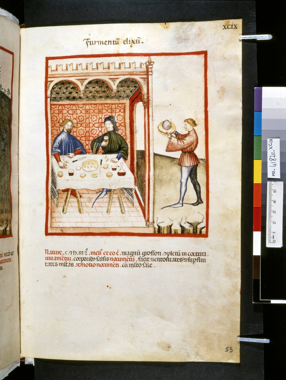 Theatrum sanitatis Ububchasyma de Baldach: "Furmentum Elixum", pierwsza dekada XIV wieku (miniatura) autorstwa Giovannino de