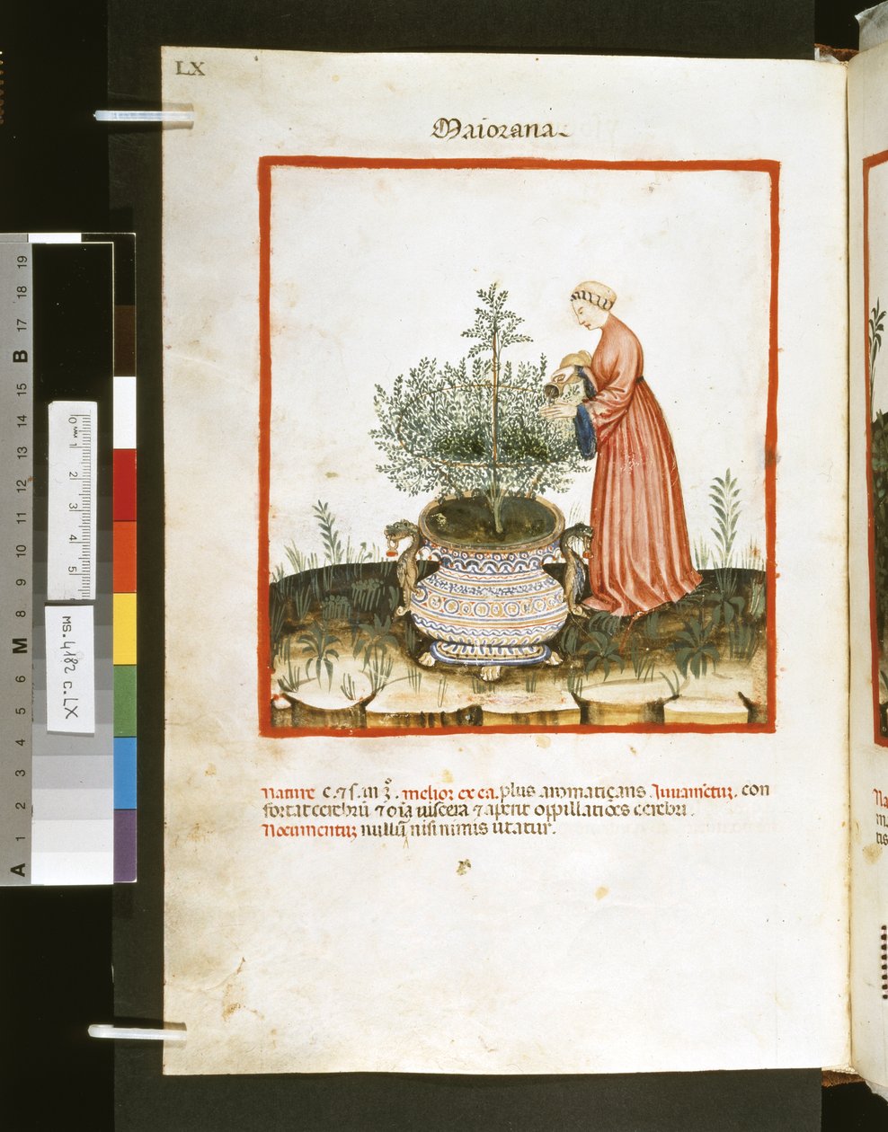 Theatrum sanitatis Ububchasyma de Baldach :