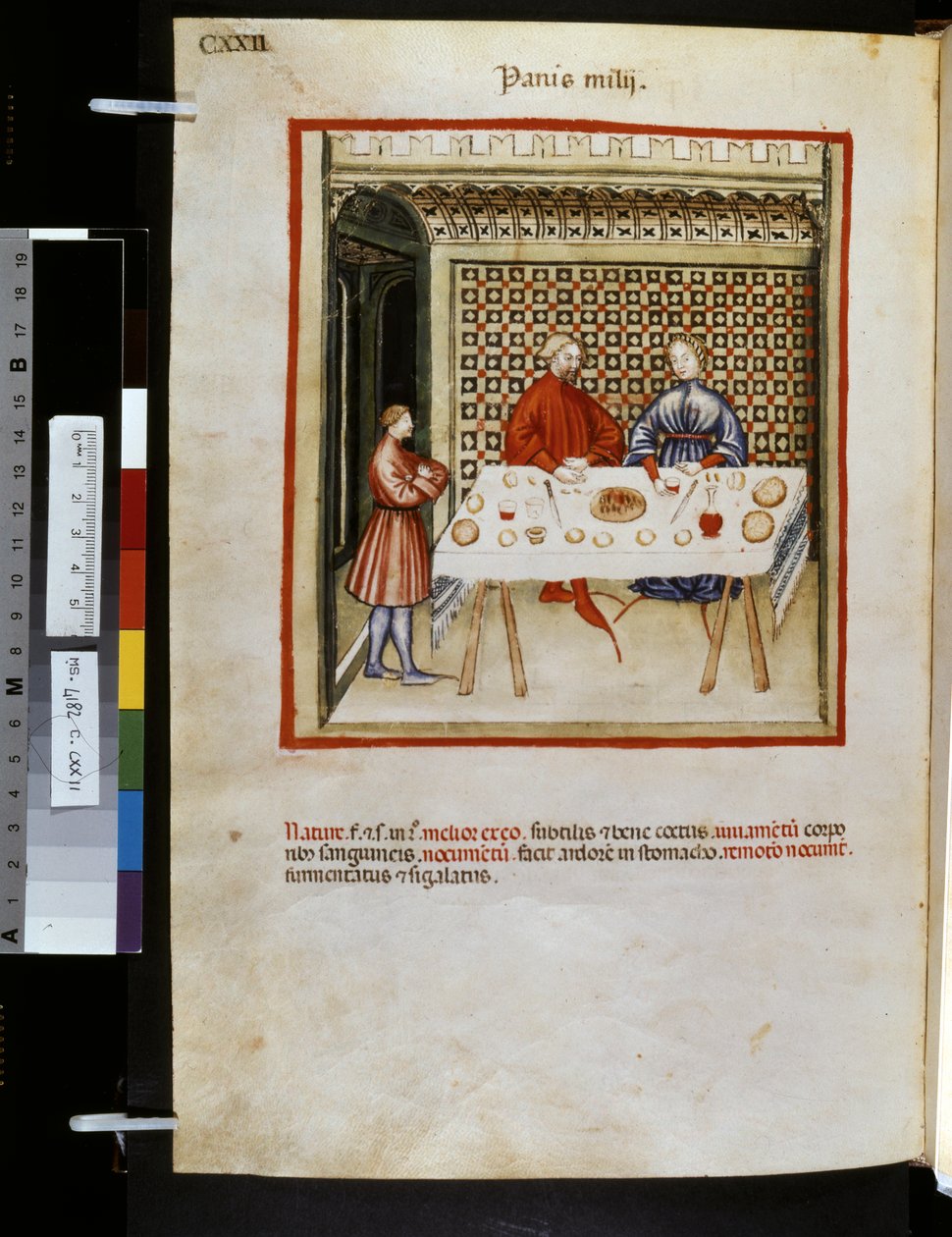 Theatrum sanitatis Ububchasyma de Baldach: "Panis Milij", pierwsza dekada XIV wieku (miniatura) autorstwa Giovannino de