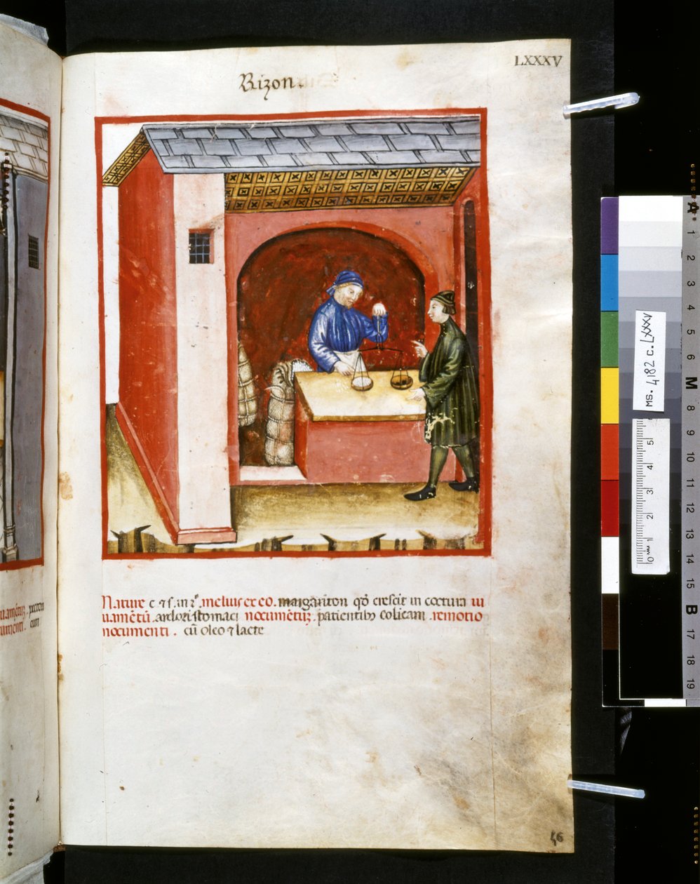 Theatrum sanitatis Ububchasyma de Baldach: "Rizon", pierwsza dekada XIV wieku (miniatura) autorstwa Giovannino de