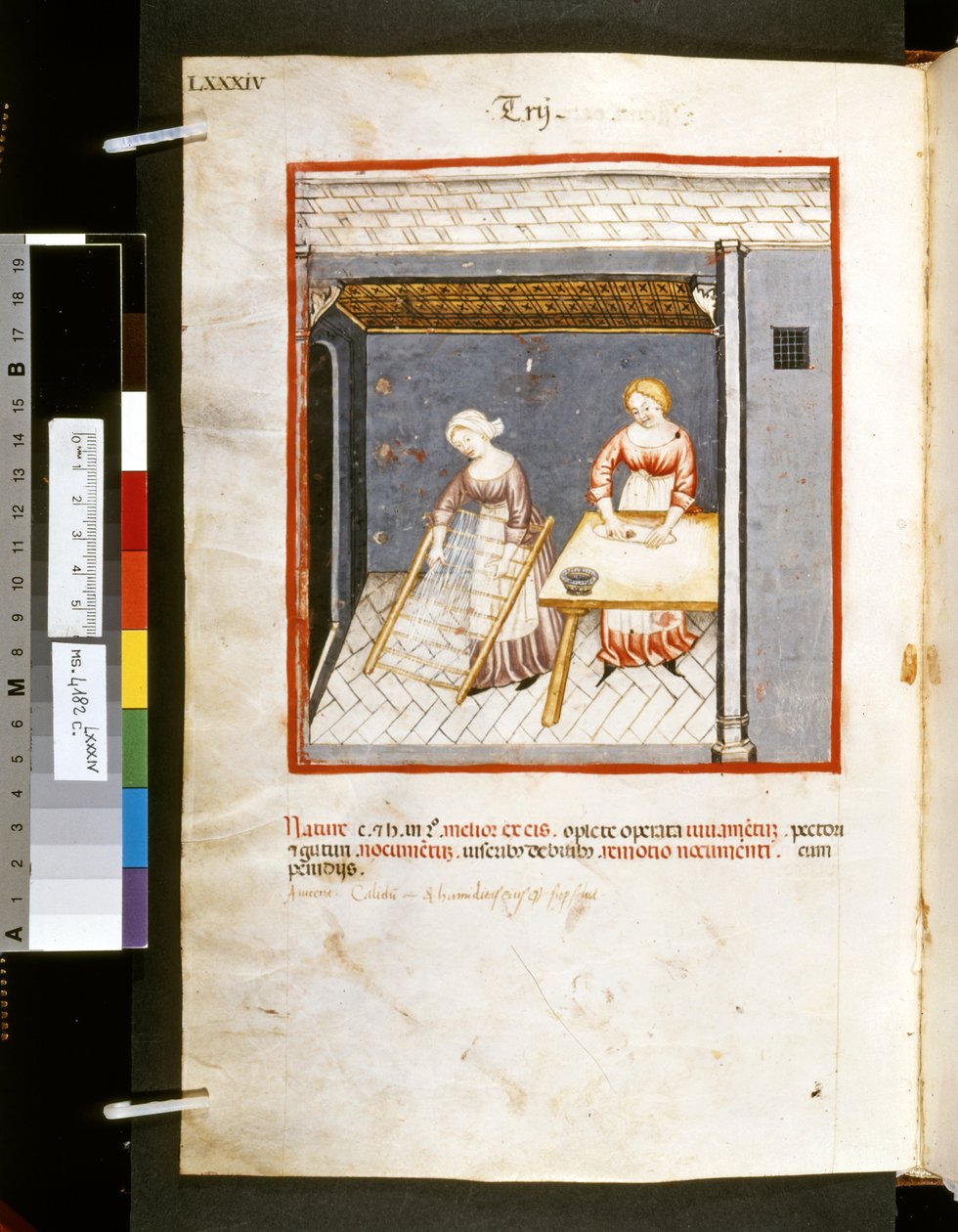 Theatrum sanitatis Ububchasyma de Baldach: "Trij", pierwsza dekada XIV wieku (miniatura) autorstwa Giovannino de