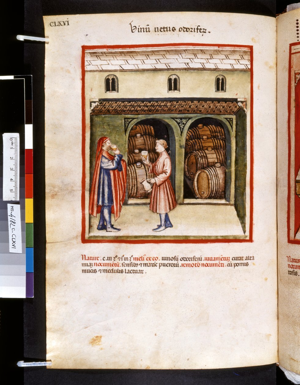 Theatrum sanitatis Ububchasyma de Baldach: "Vinum Vetus Odoriferum", pierwsza dekada XIV wieku (miniatura) autorstwa Giovannino de