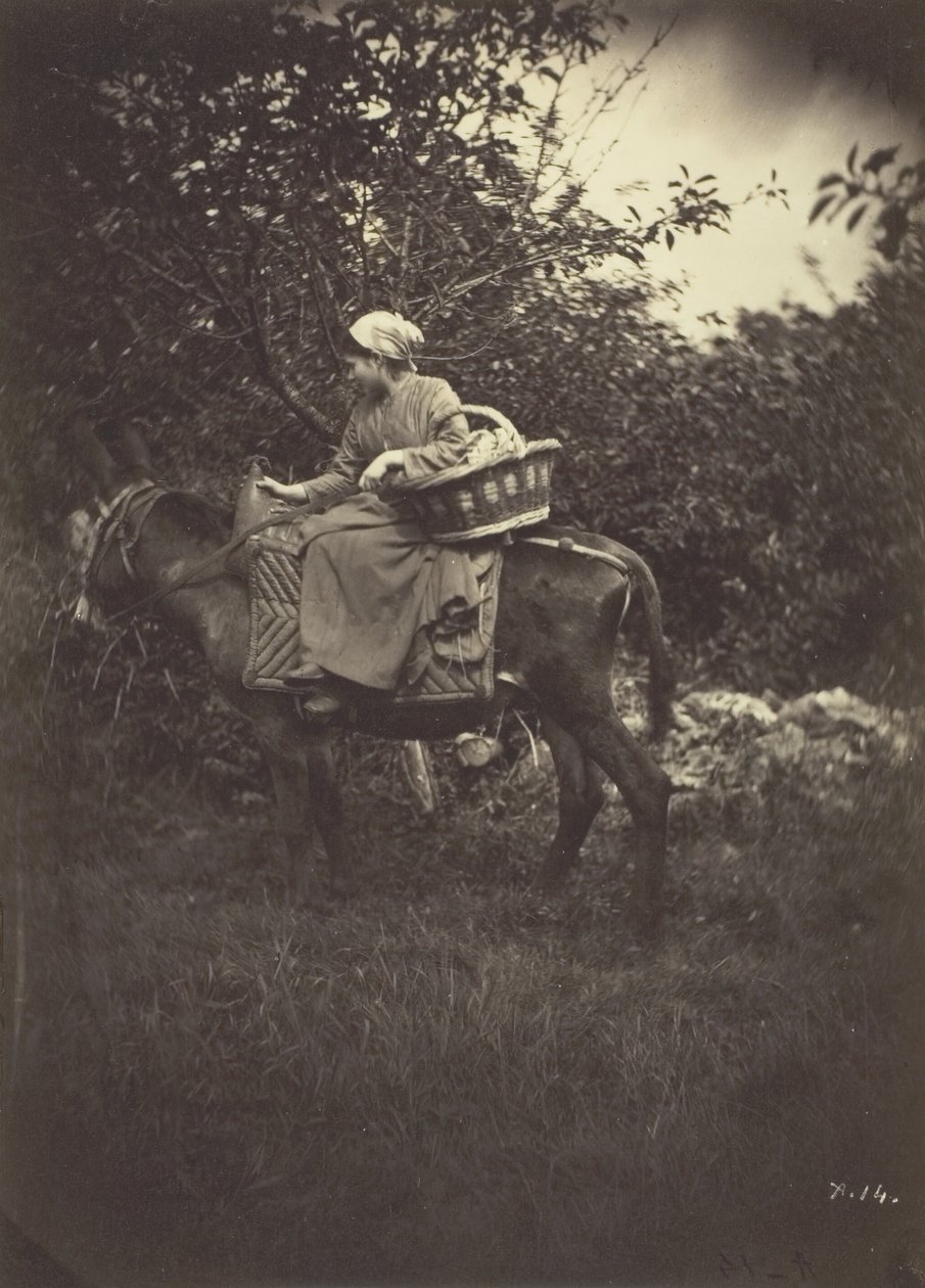 Wieśniaczka na osiołku, 1870. autorstwa Giraudon