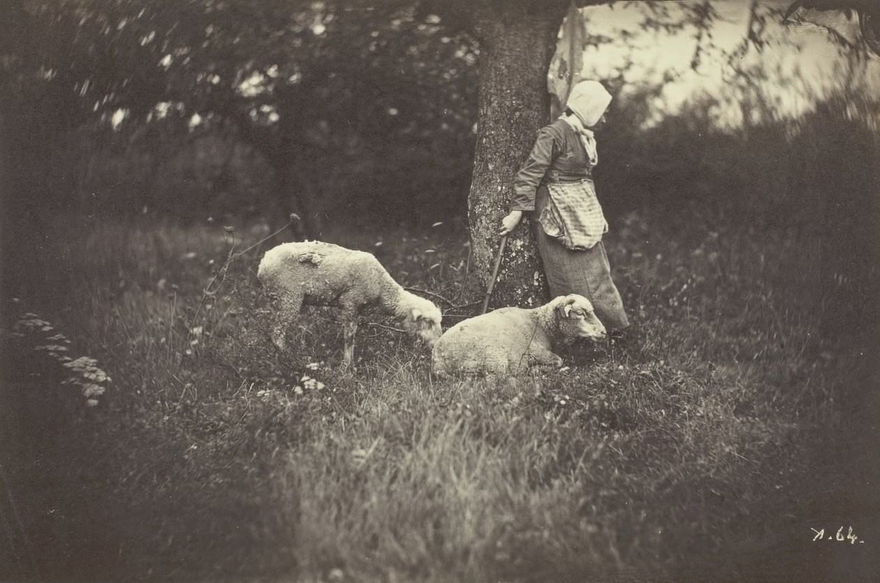 Pasterka oparta o drzewo z dwiema owcami, 1870. autorstwa Giraudon