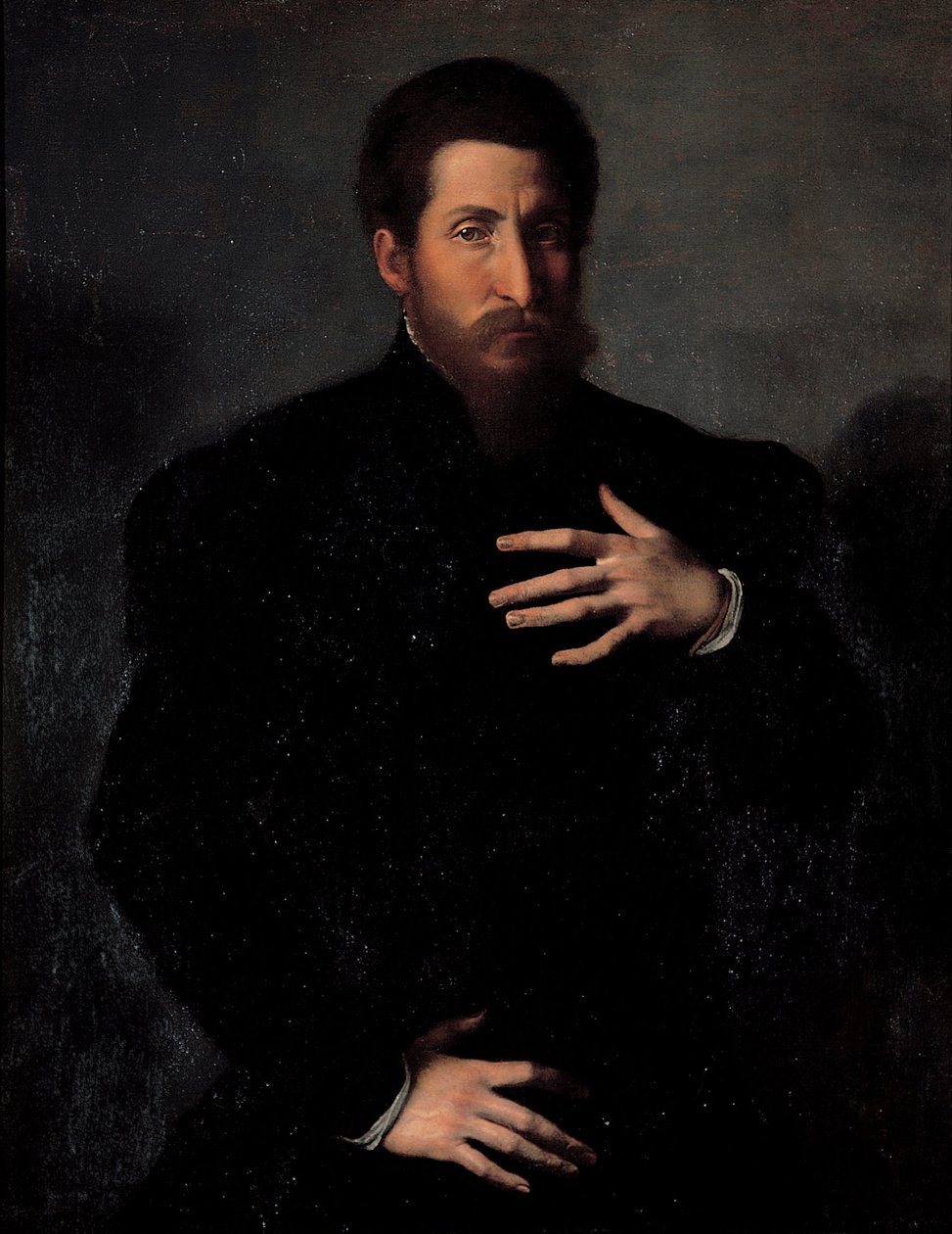 Portret męskiego mężczyzny autorstwa Girolamo da Carpi