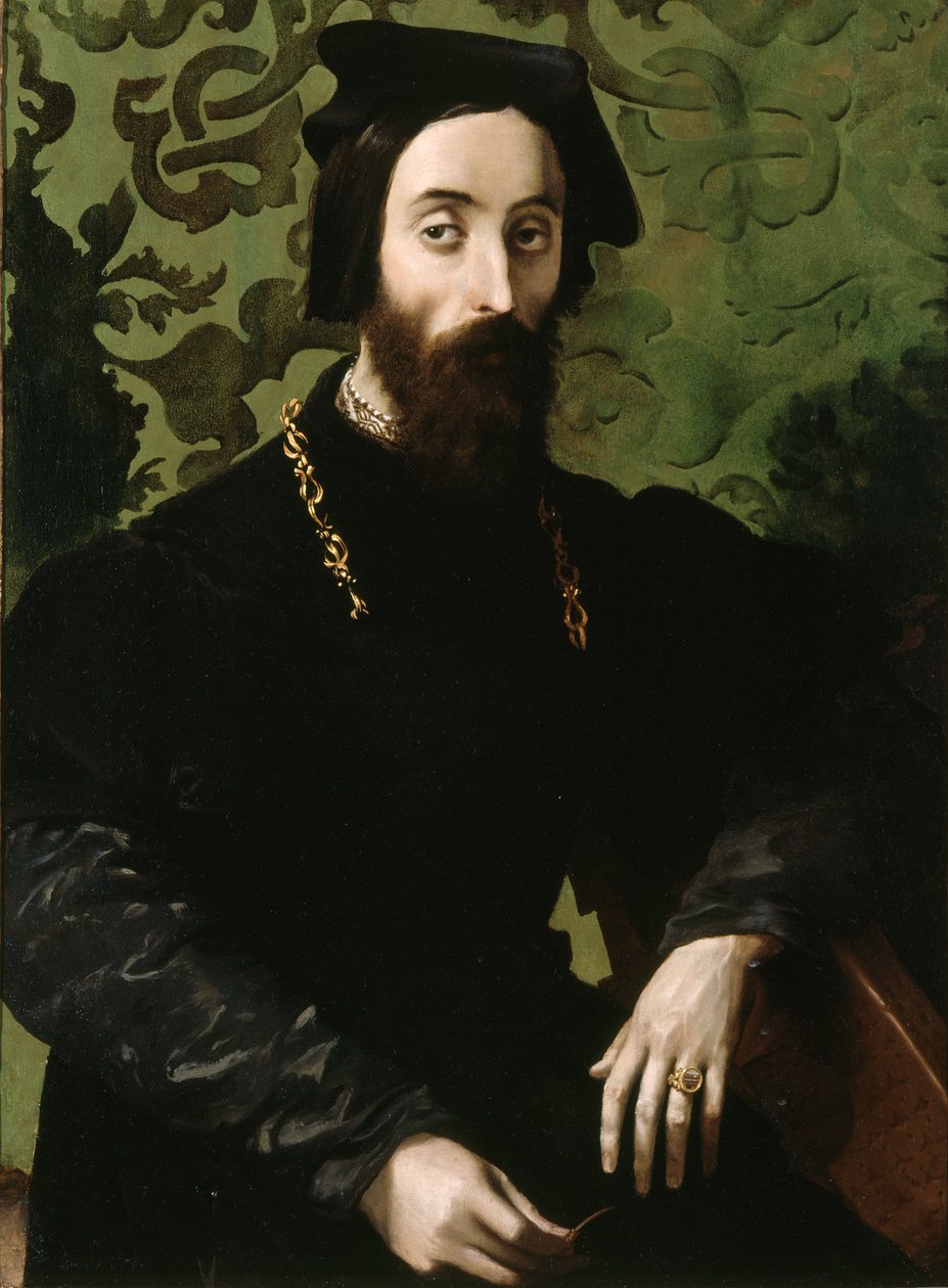 Portret muzyka, ok. 1540 (olej na płycie) autorstwa Girolamo Mazzola (attr.) Bedoli