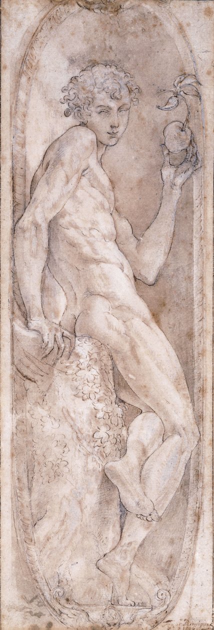 Adam trzymający Jabłko, siedzący w Medalionie, ok.1547-1553 autorstwa Girolamo Mazzola Bedoli