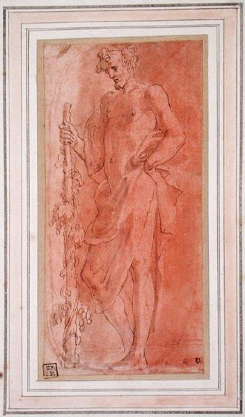 Bachus (pióro i brązowy tusz i pranie na papierze) autorstwa Girolamo Mazzola Bedoli