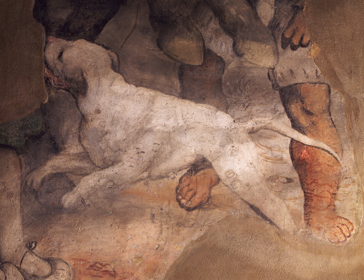 Figura psa, fragment fresku Girolamo Romanino (ca1484-1566), kościół Sant