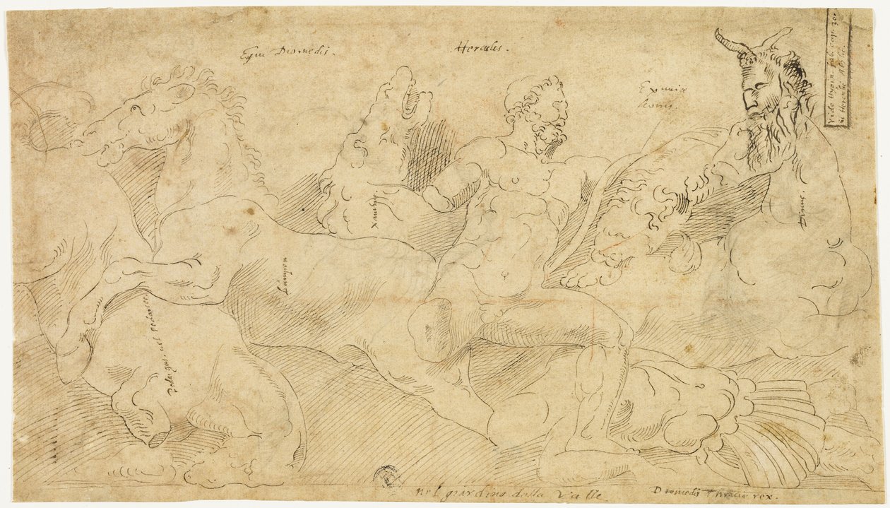 Starożytny relief z Herkulesem i klaczami Diomedesa (recto); Dwa szkice: Udrapowany satyr i uskrzydlona postać kobieca (verso) autorstwa Girolamo da Carpi