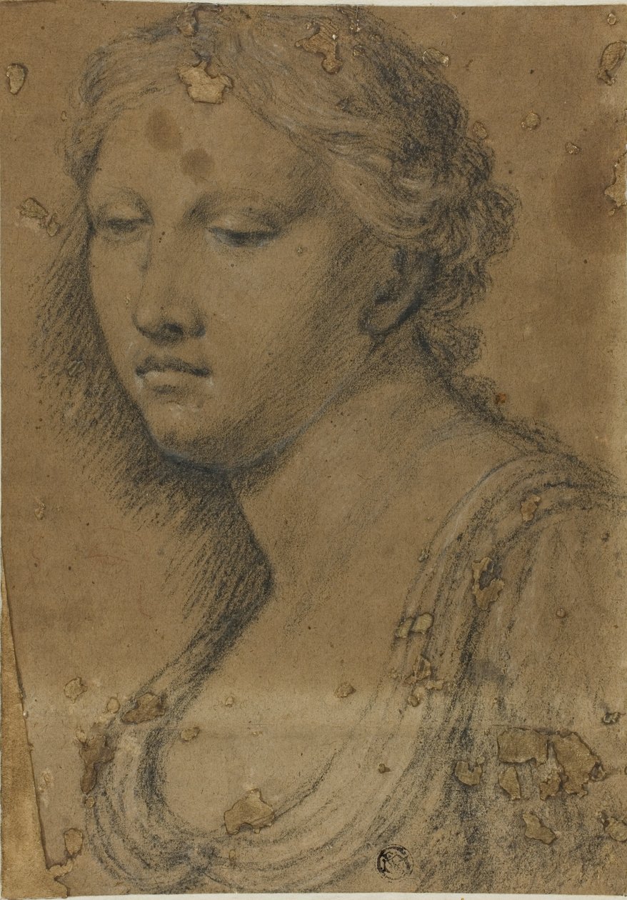 Popiersie kobiety autorstwa Girolamo da Carpi