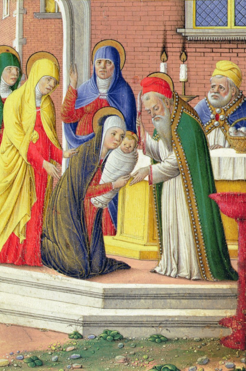 Prezentacja w świątyni, ok. 1465 autorstwa Girolamo da Cremona