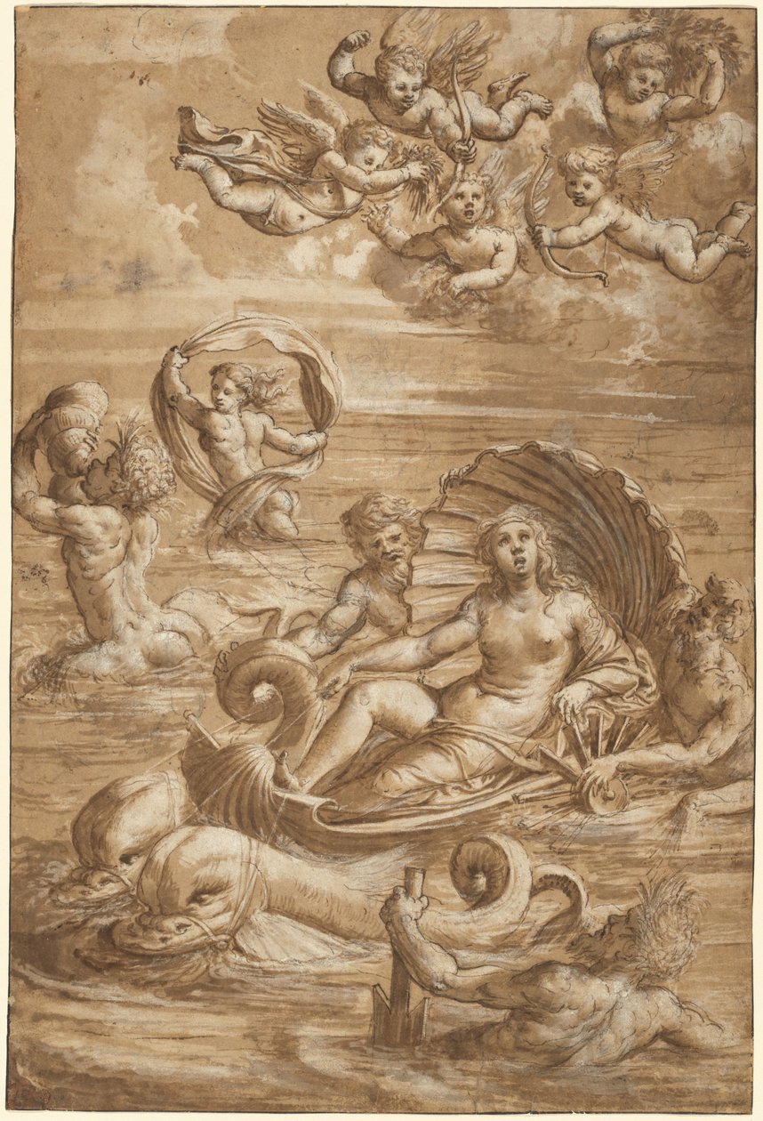 Triumf Galatei autorstwa Girolamo da Treviso II