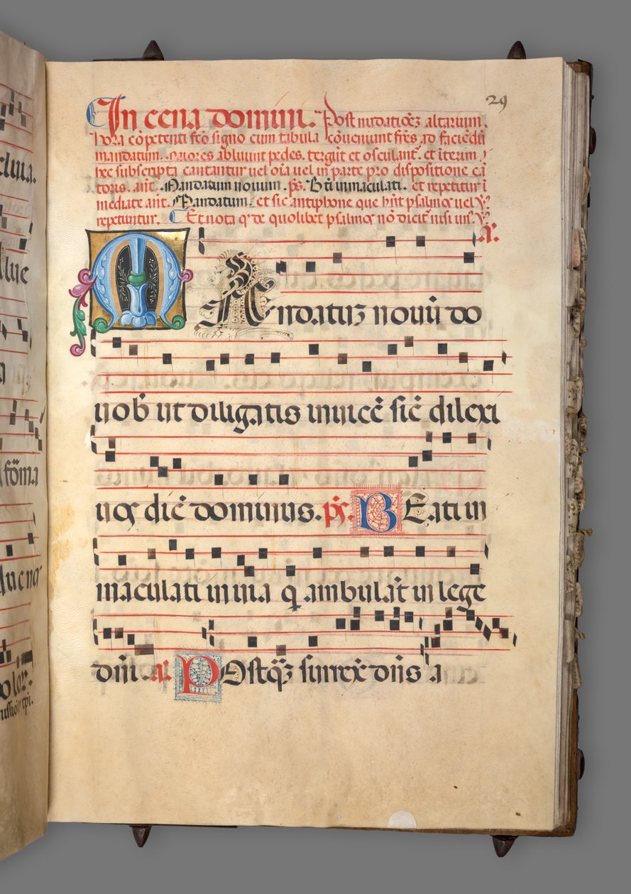 Stopniowy, ok. 1520. autorstwa Girolamo dai Libri